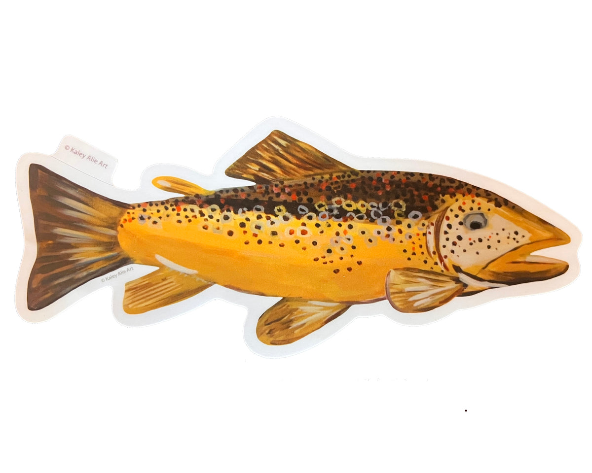 Big Brown Trout Sticker