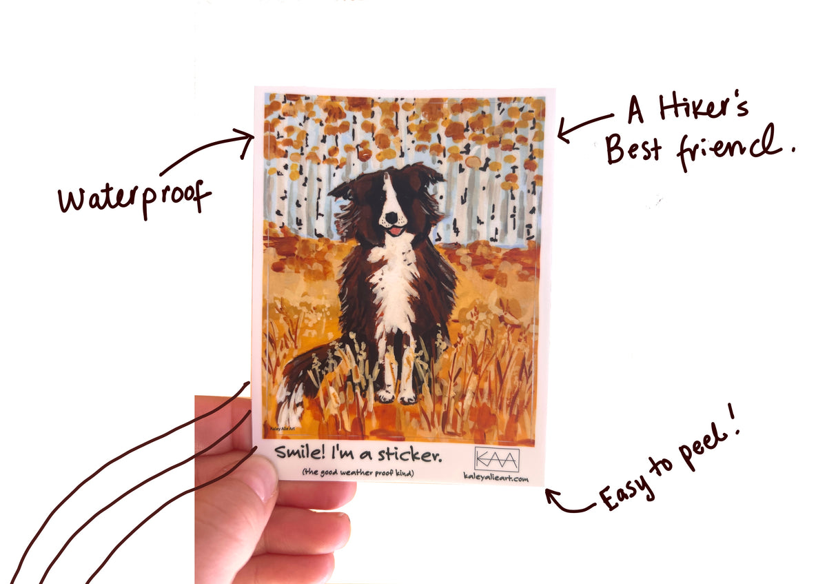 Trail Dog Sticker