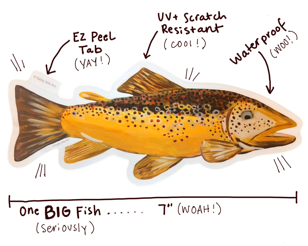 Big Brown Trout Sticker