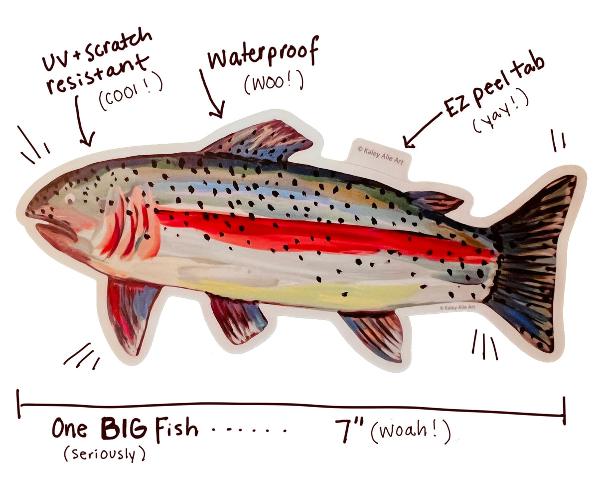 Big Rainbow Trout Sticker