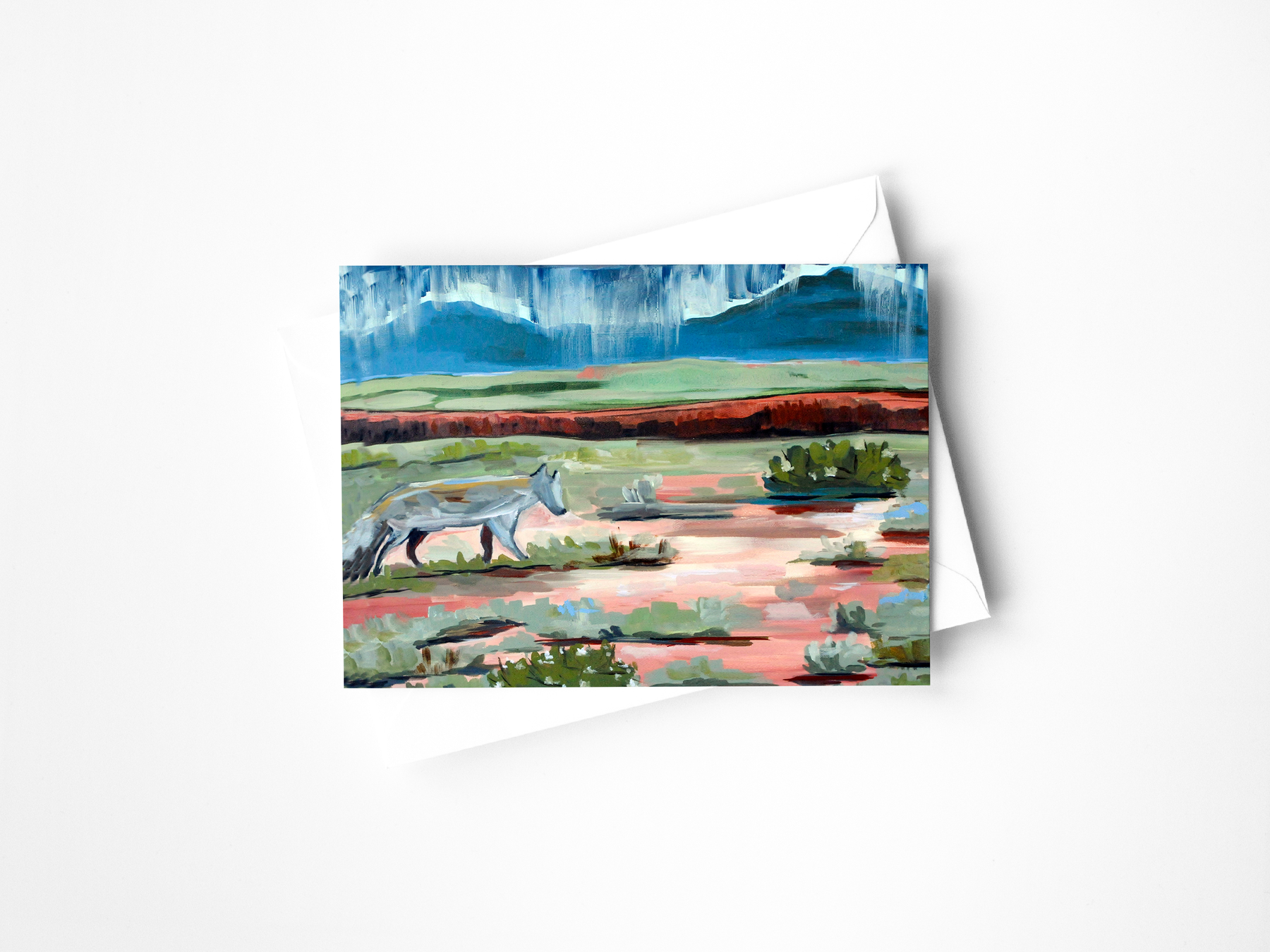 Desert Collection Assorted Greeting Cards