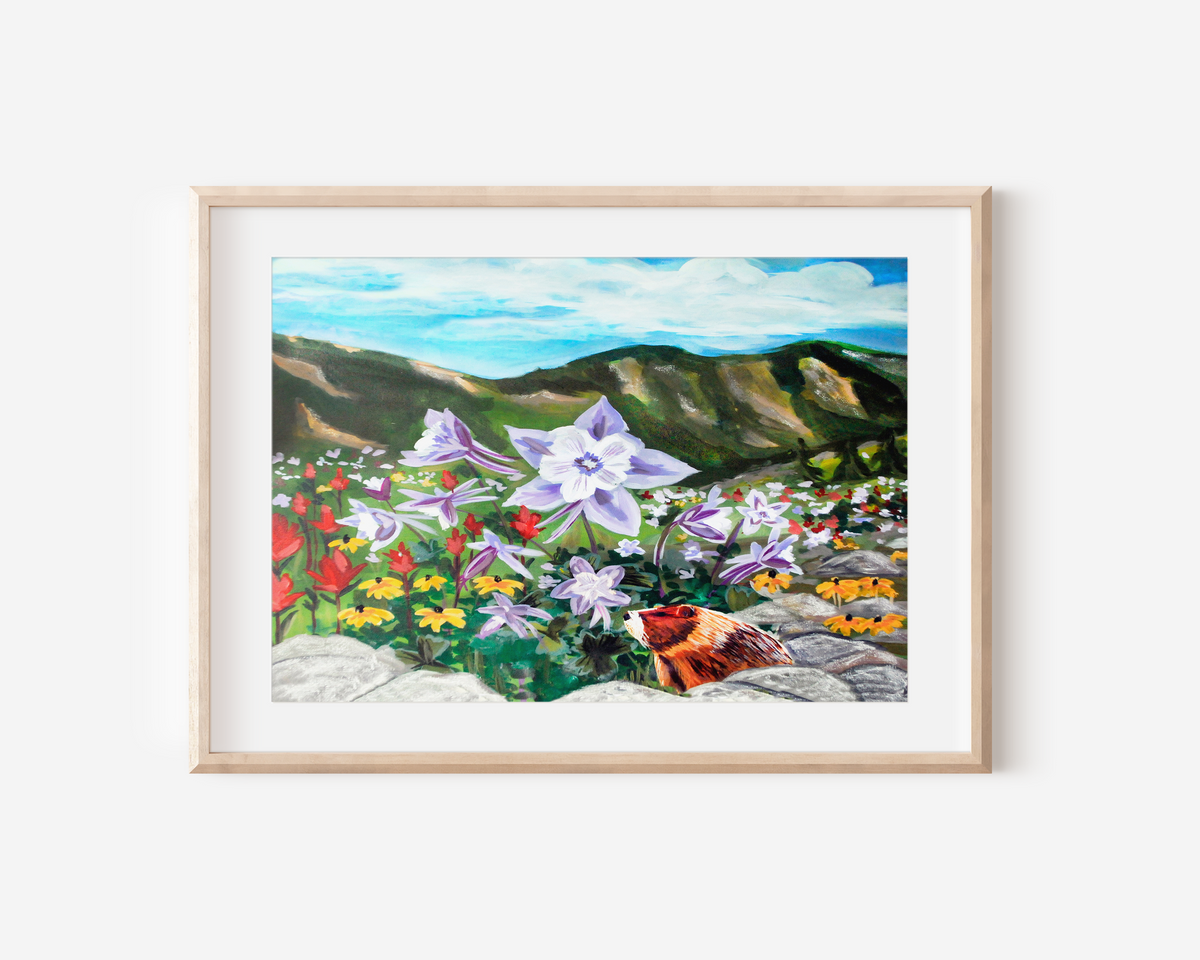 Alpine Marmot Art Print