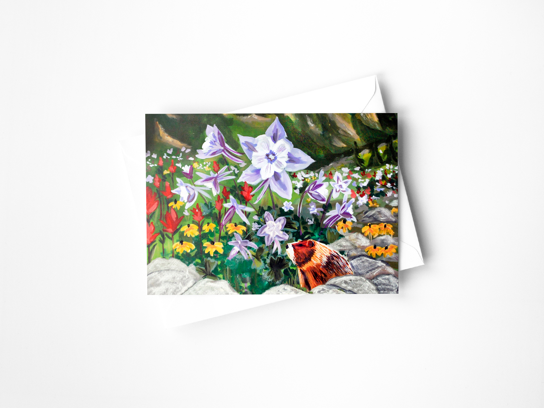 Colorado Wildlife Assorted Greeting Cards