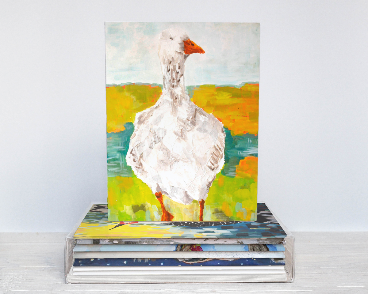 Bird Collection Assorted Greeting Cards