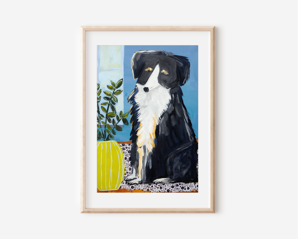 Border Collie Art Print