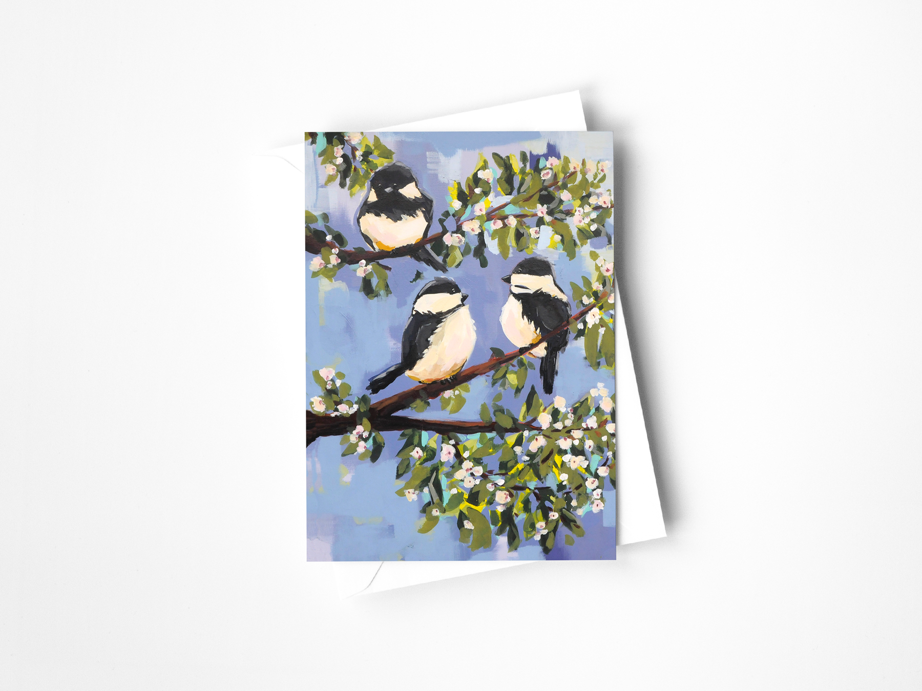 Colorado Birds Assorted Greeting Card Set