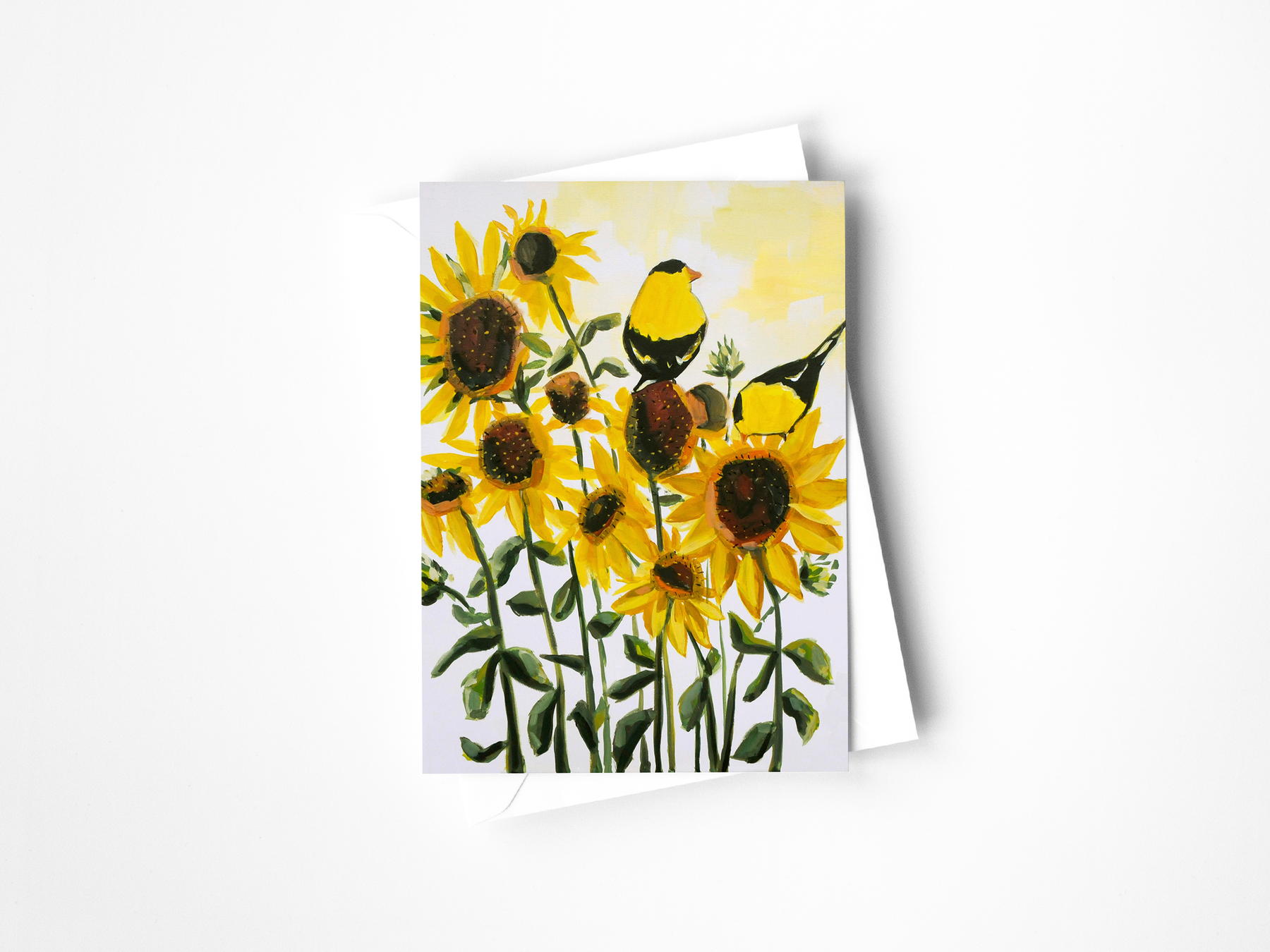 Colorado Birds Assorted Greeting Card Set