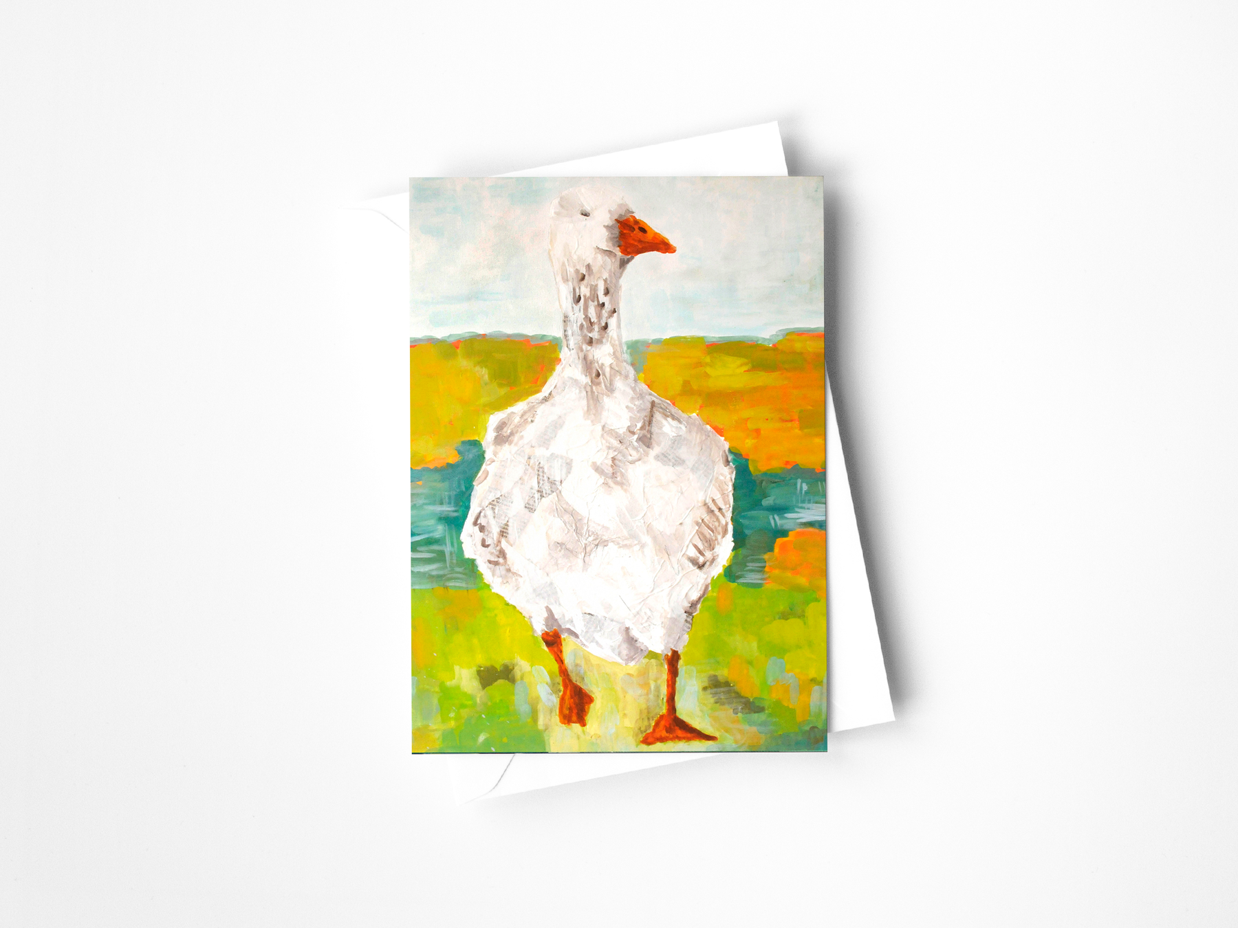 Bird Collection Assorted Greeting Cards