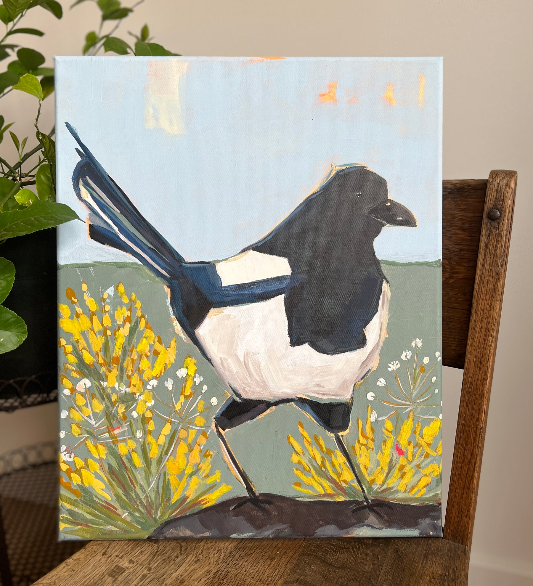 Magpie