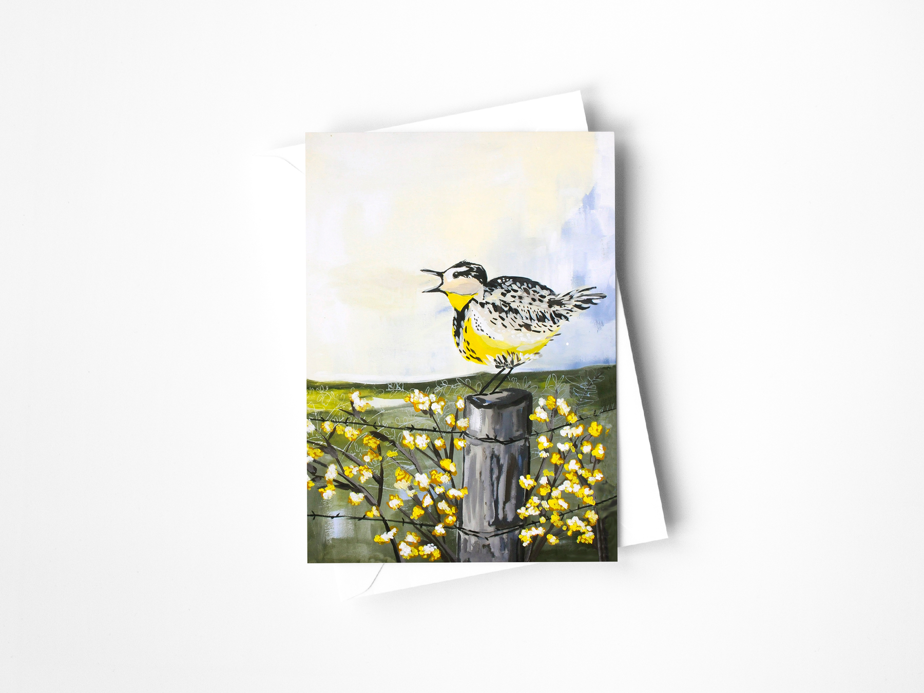 Colorado Birds Assorted Greeting Card Set