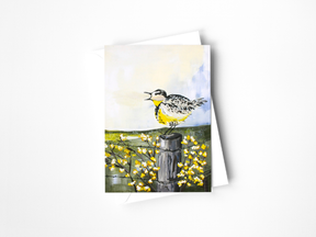 Colorado Birds Assorted Greeting Card Set
