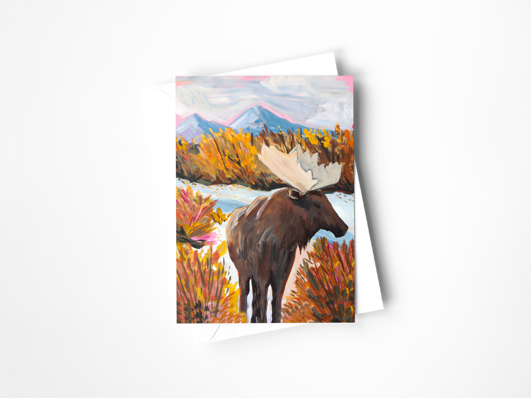 Colorado Wildlife Assorted Greeting Cards