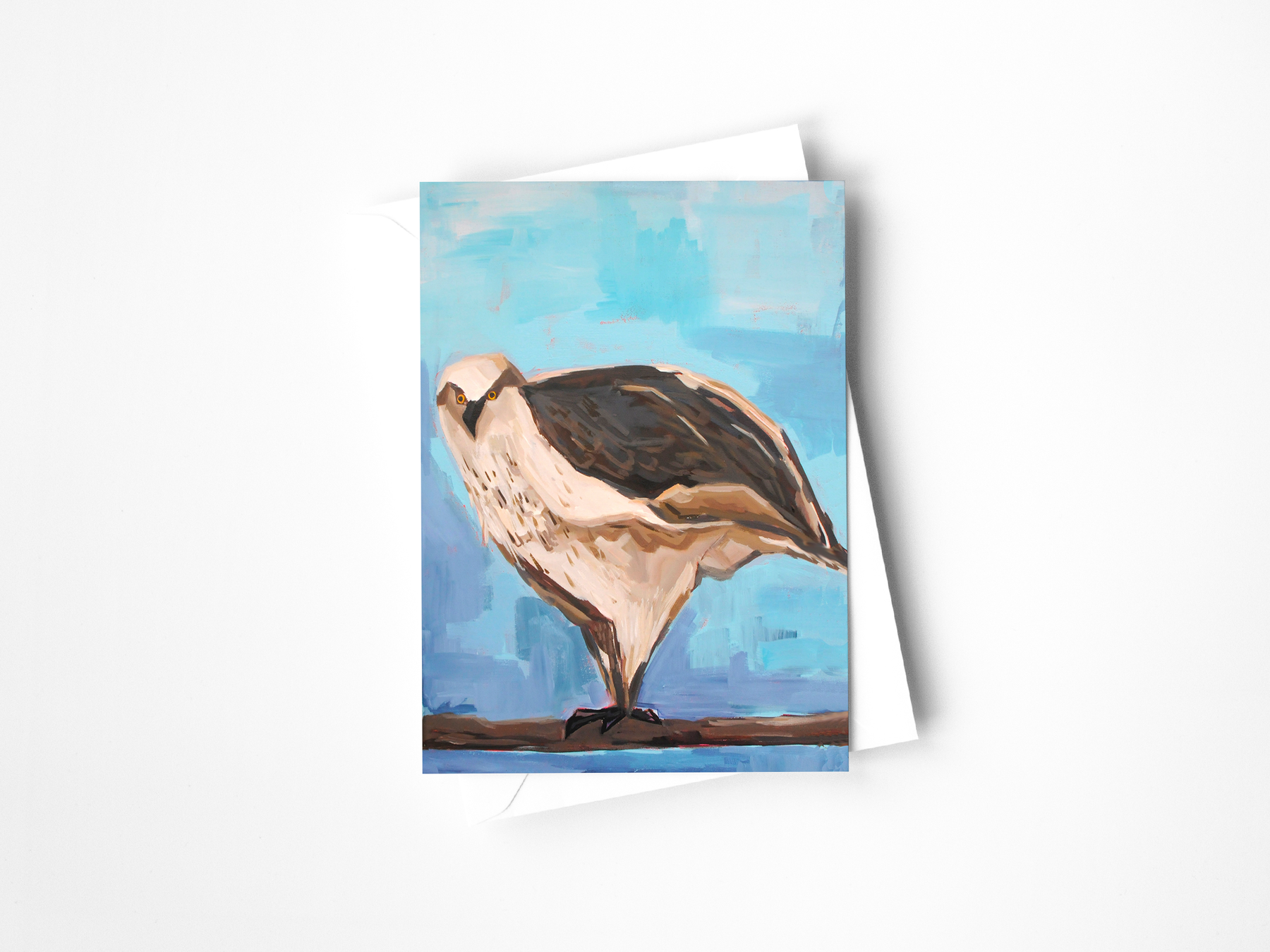 Colorado Birds Assorted Greeting Card Set