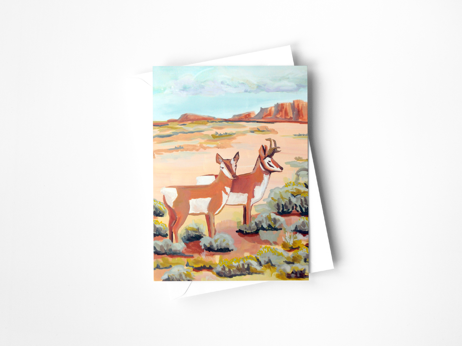 Colorado Wildlife Assorted Greeting Cards