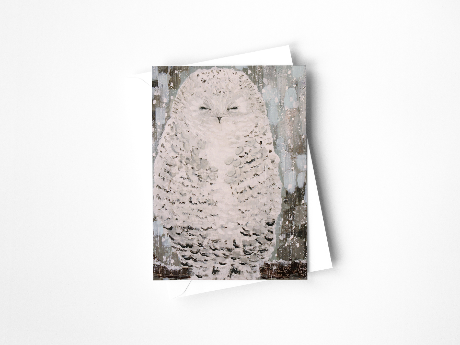 Bird Collection Assorted Greeting Cards