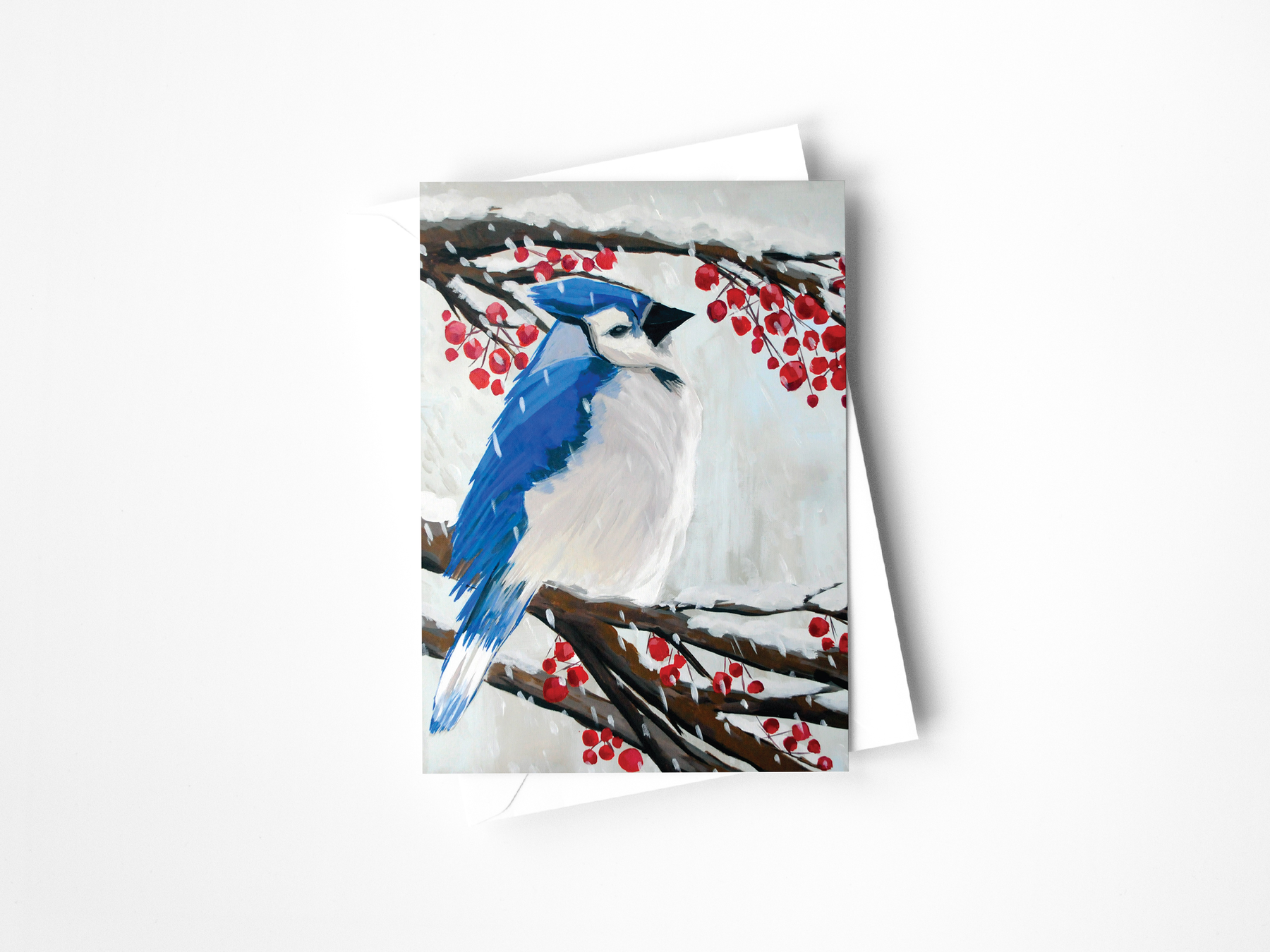 Colorado Wildlife Assorted Greeting Cards