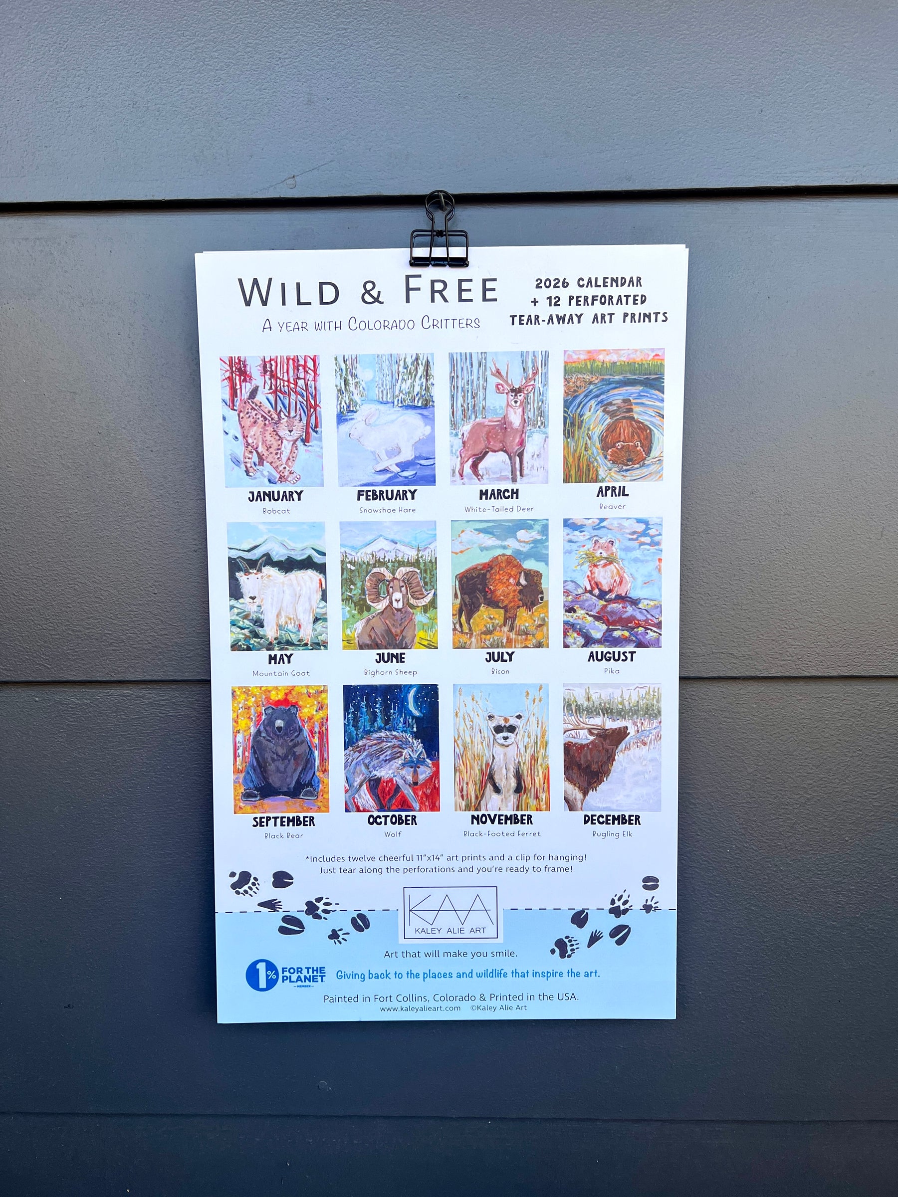 2026 Wall Calendar with 12 Art Prints- Wild and Free: A Year with Colorado Critters