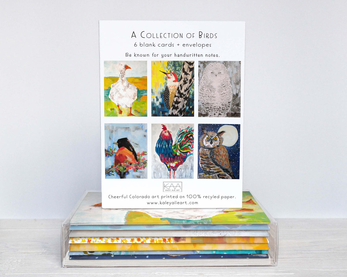 Bird Collection Assorted Greeting Cards