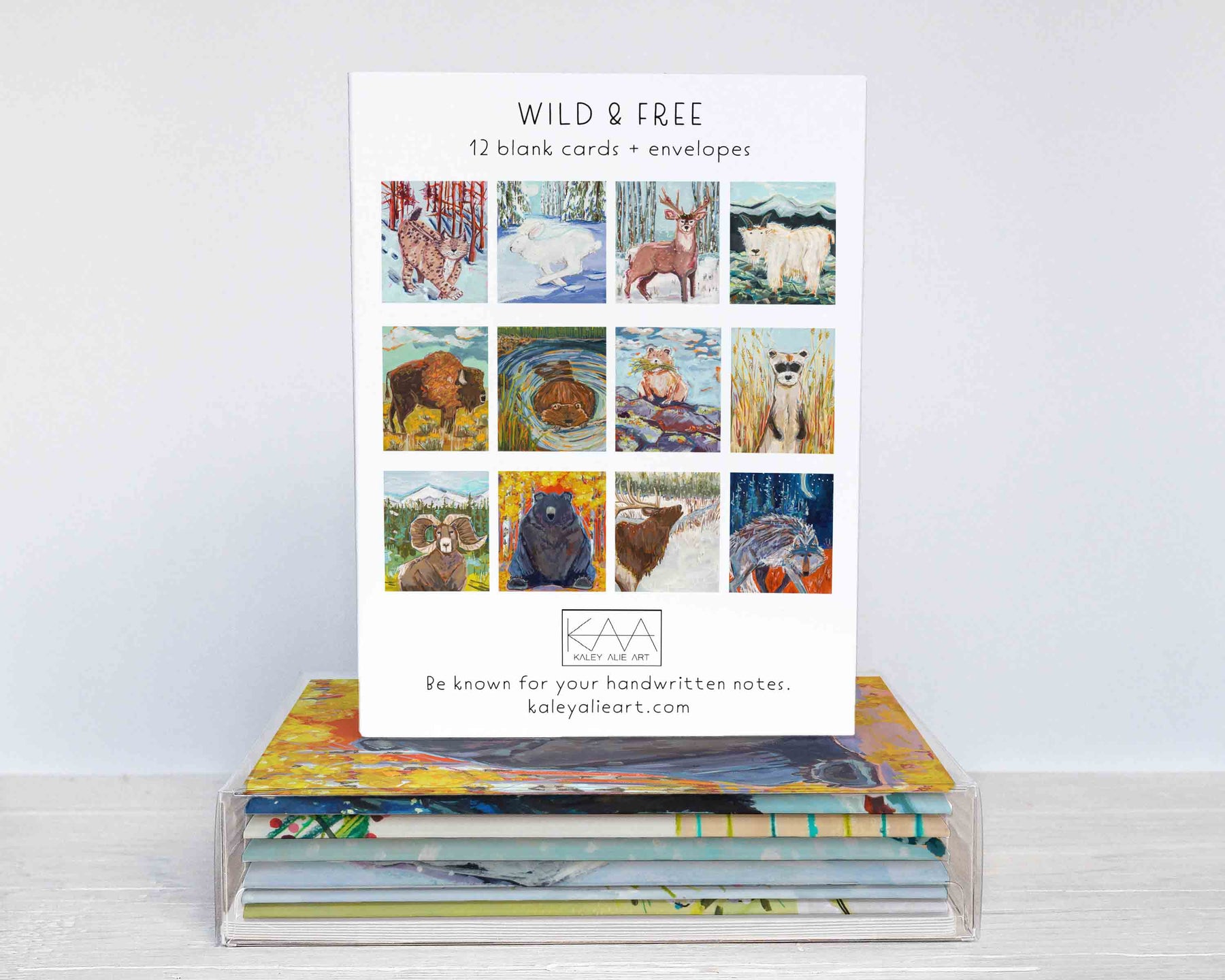 Wild & Free Animals- Assorted Greeting Card set of 12