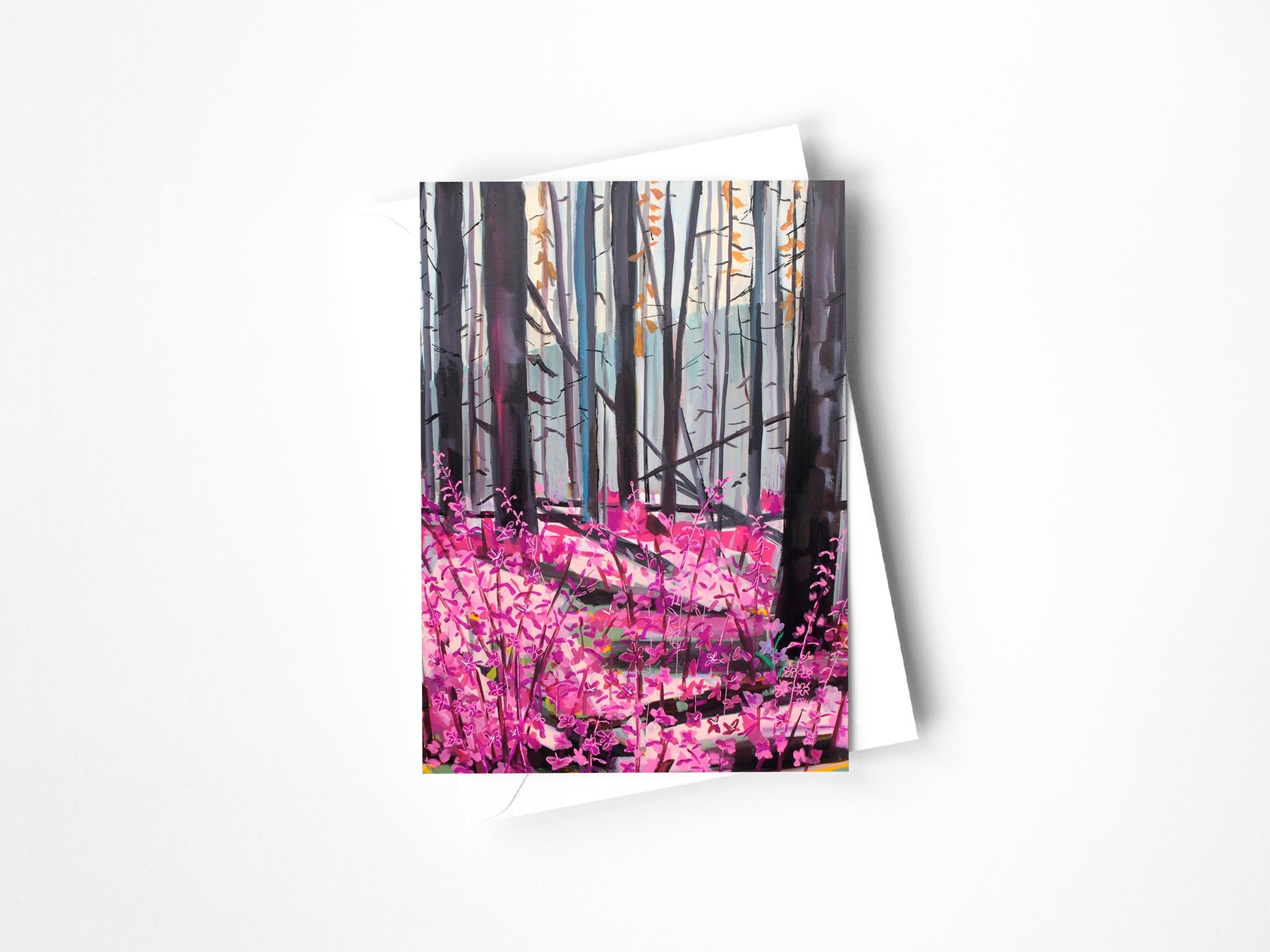 Wild Mountain Places Assorted Greeting Card Set