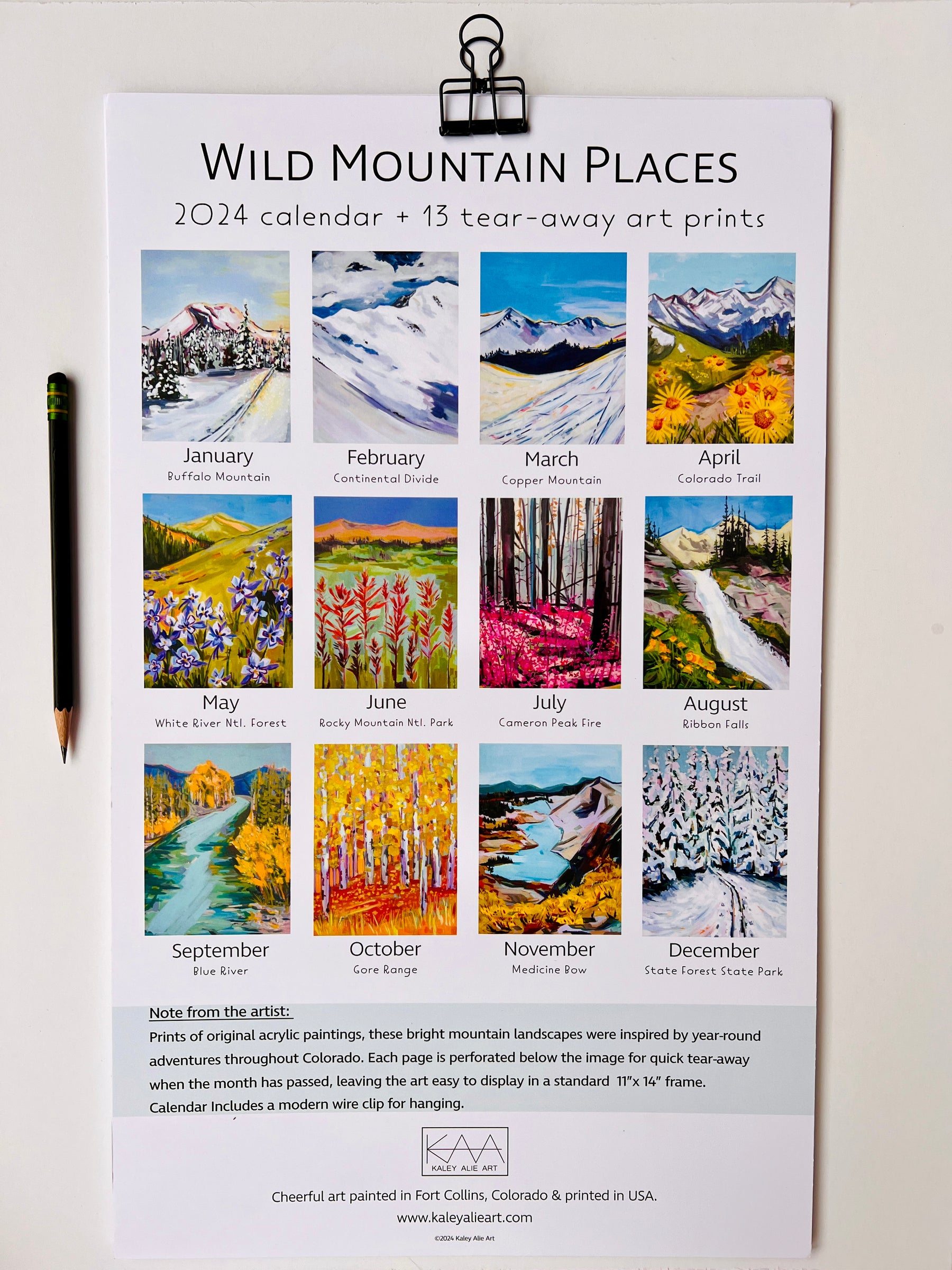 2024  Wall Calendar- Wild Mountain Places