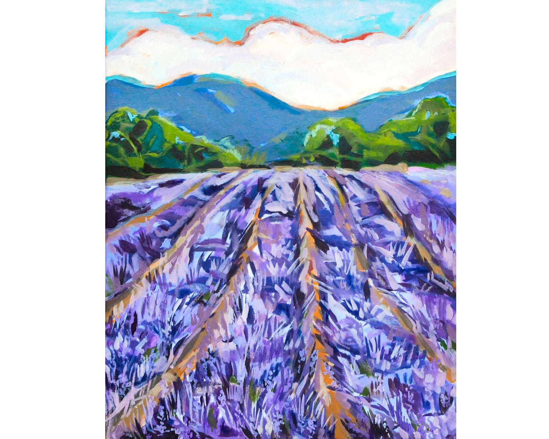 Lavender Fields 16" x 20" Original Painting