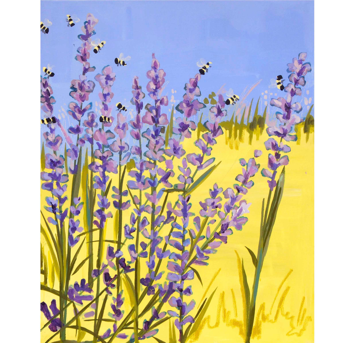 Lavender 16