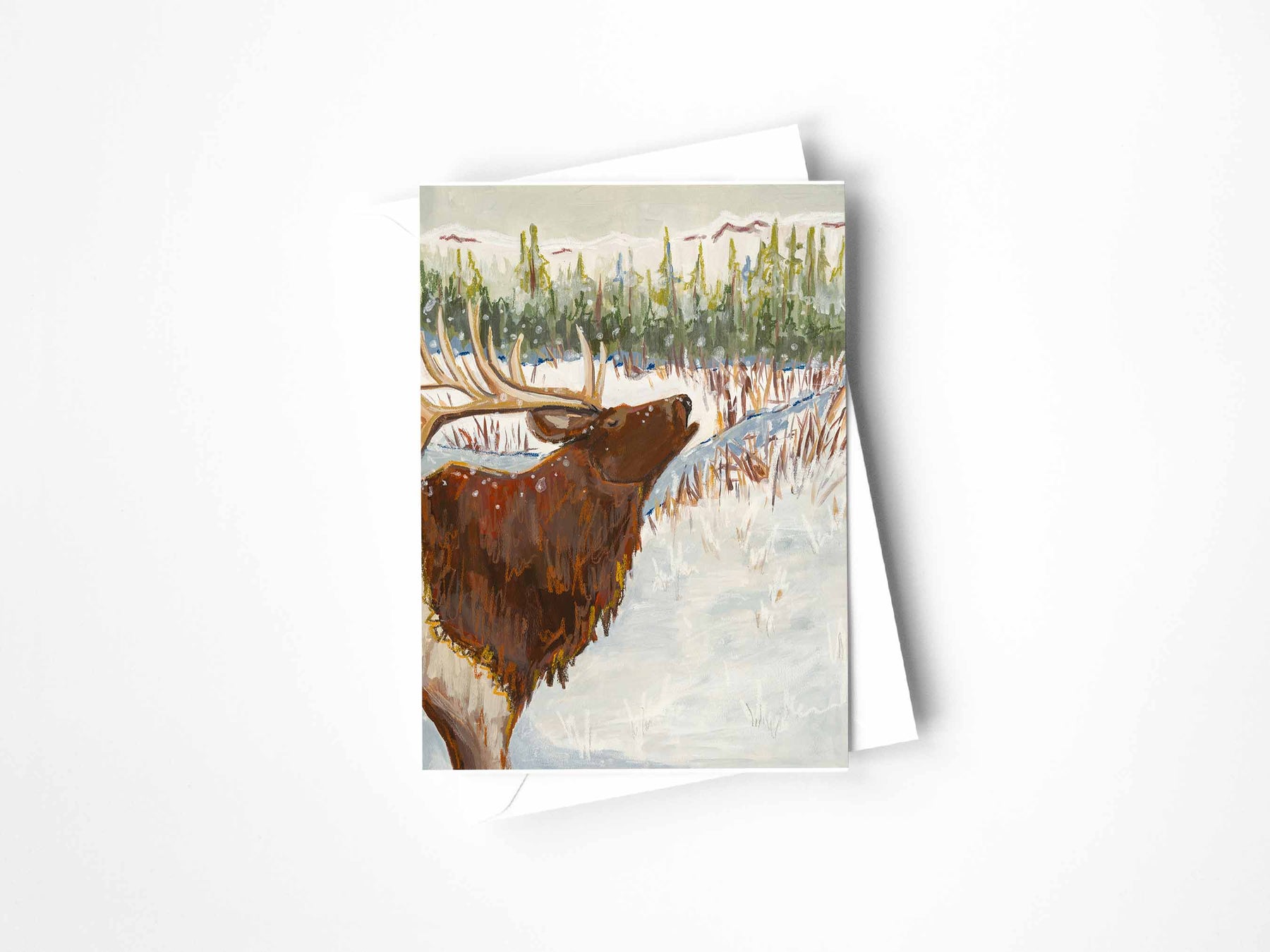 Wild & Free Animals- Assorted Greeting Card set of 12