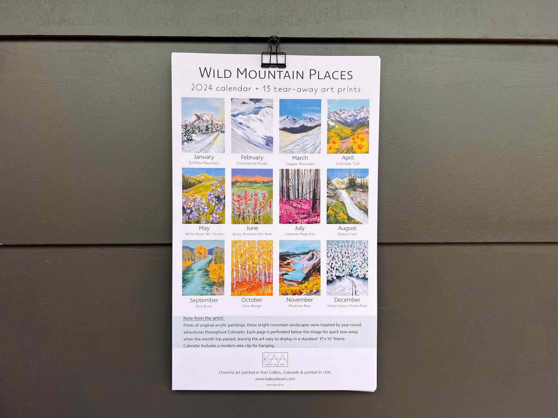 2024  Wall Calendar- Wild Mountain Places