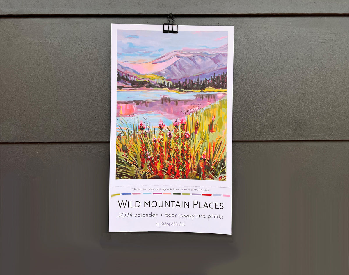 2024  Wall Calendar- Wild Mountain Places