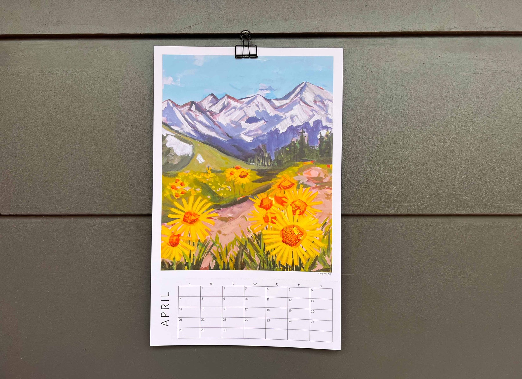 2024  Wall Calendar- Wild Mountain Places