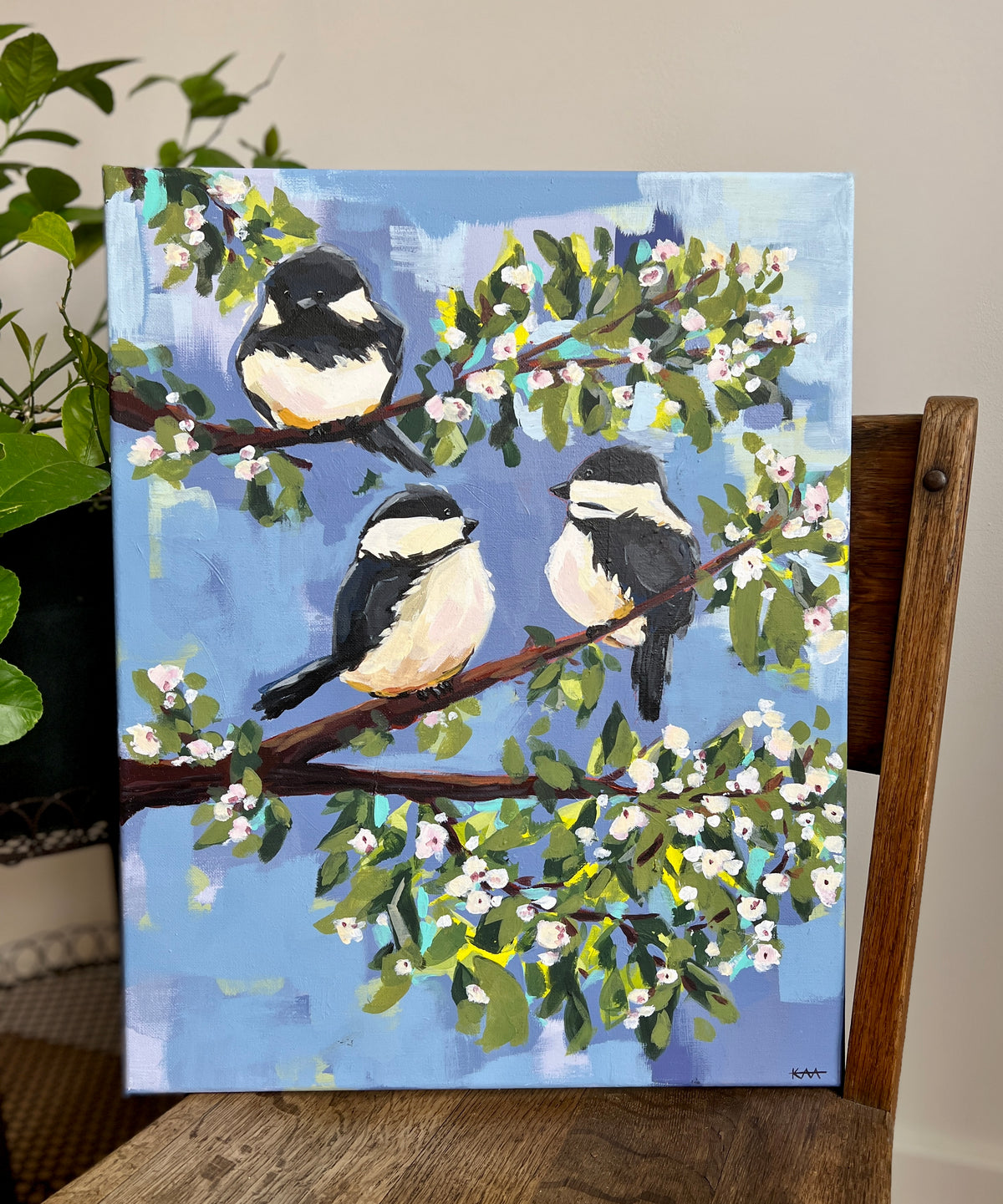 Black-capped Chickadees
