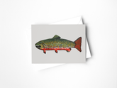 Brook Trout Greeting Card