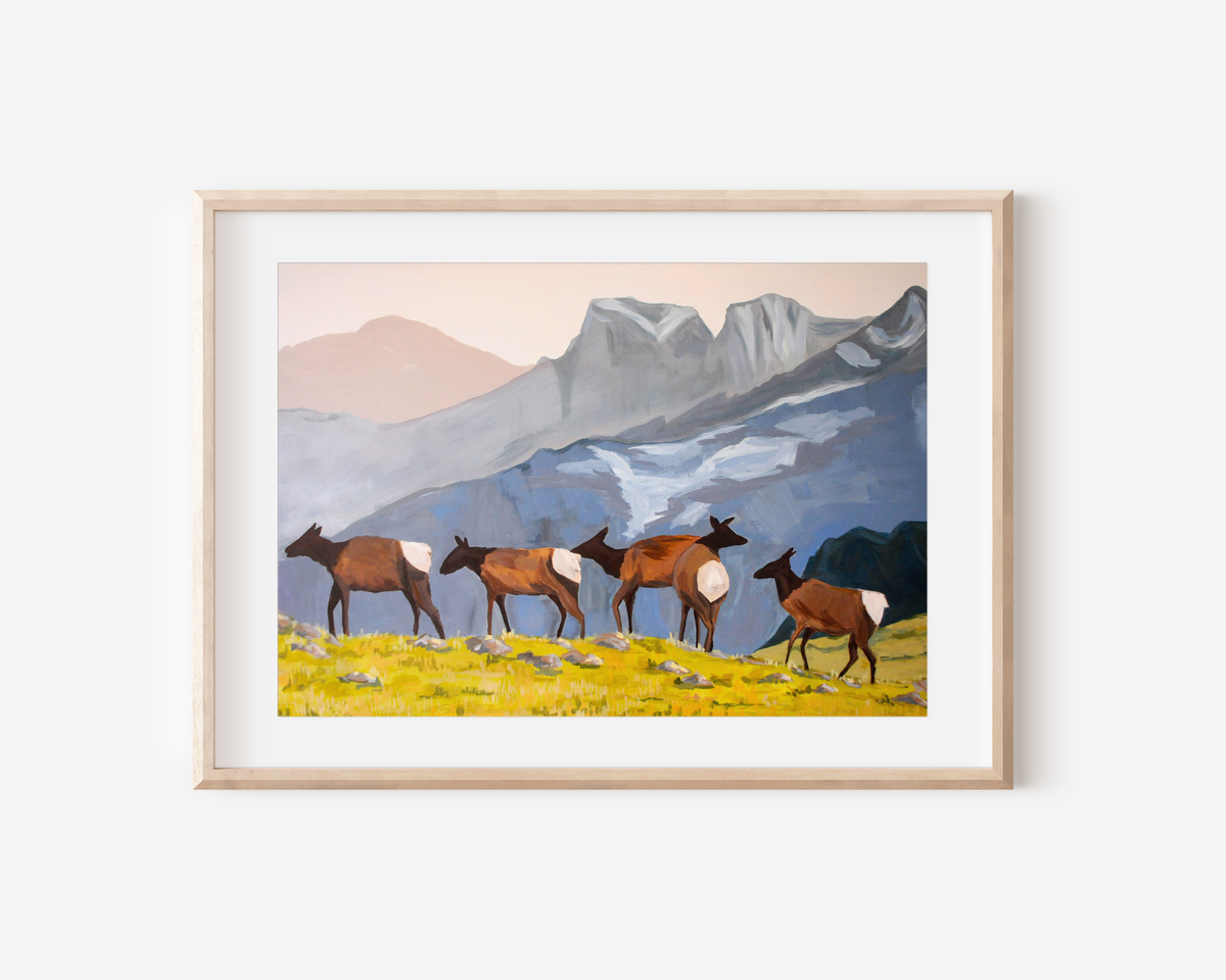 Elk Herd Art Print