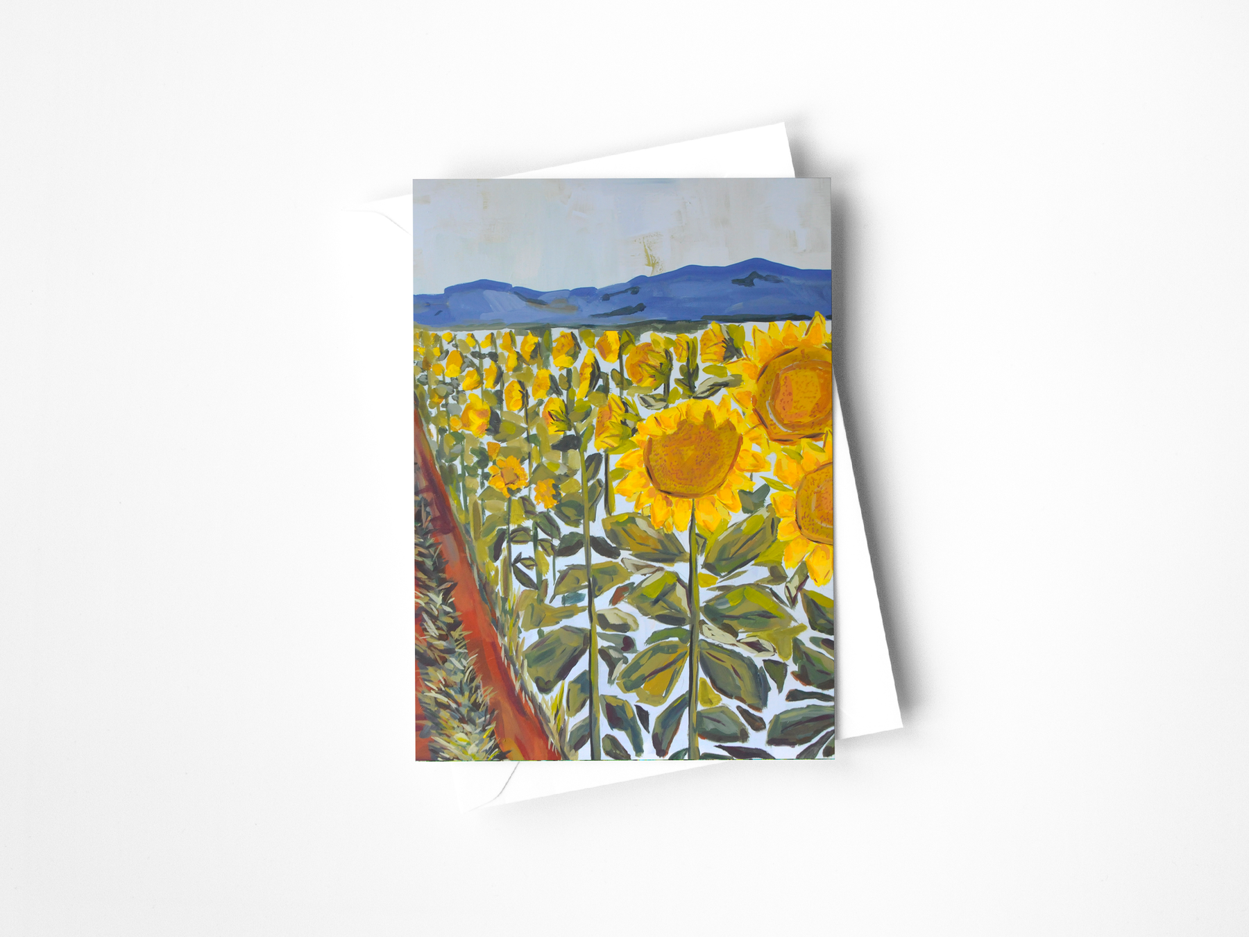 Field of Sunnies Greeting Card