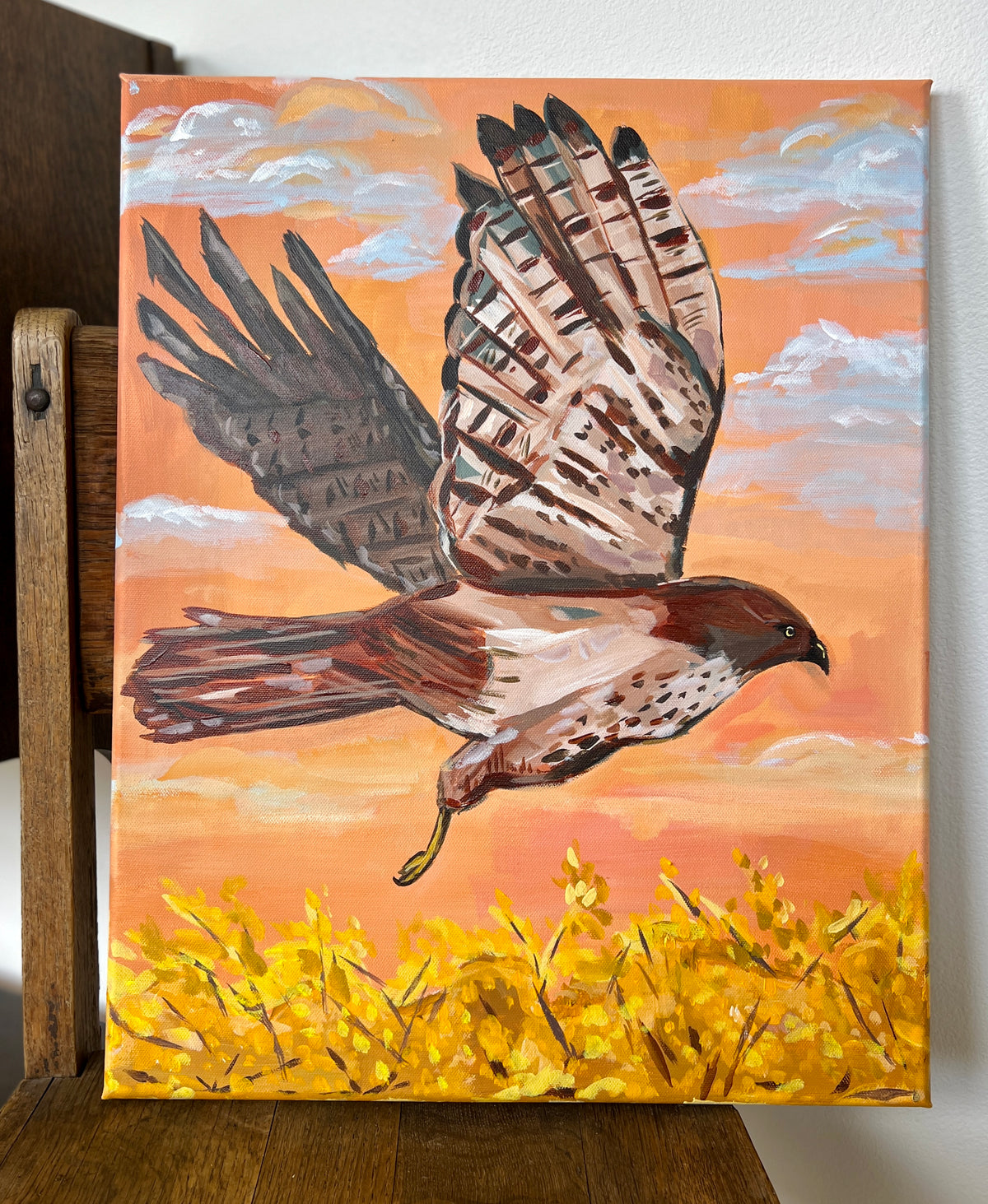 Red-Tailed Hawk