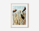 Red Winged Blackbirds Art Print