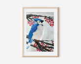 Winter Blue Jay Art Print