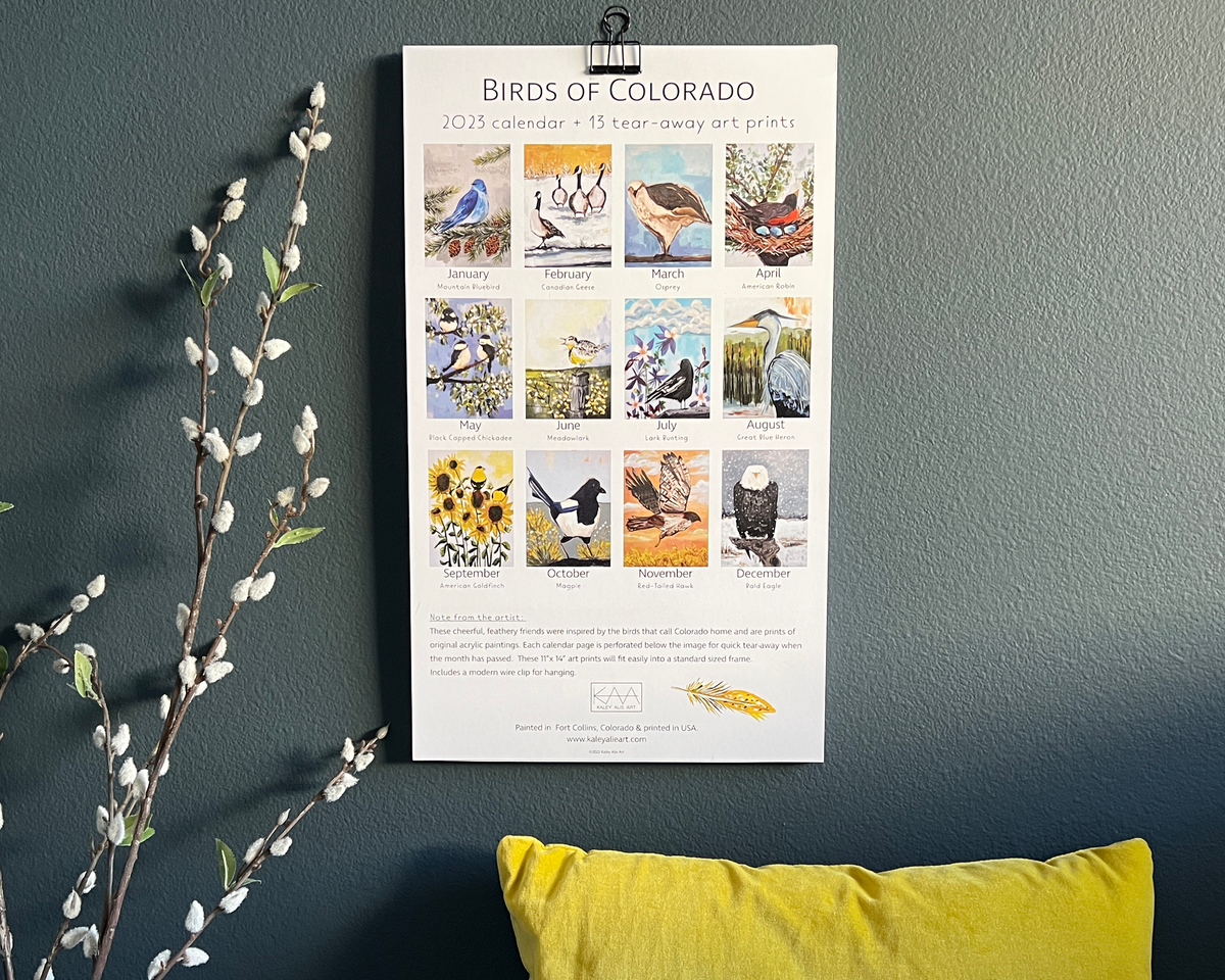 2023  Wall Calendar- Birds of Colorado