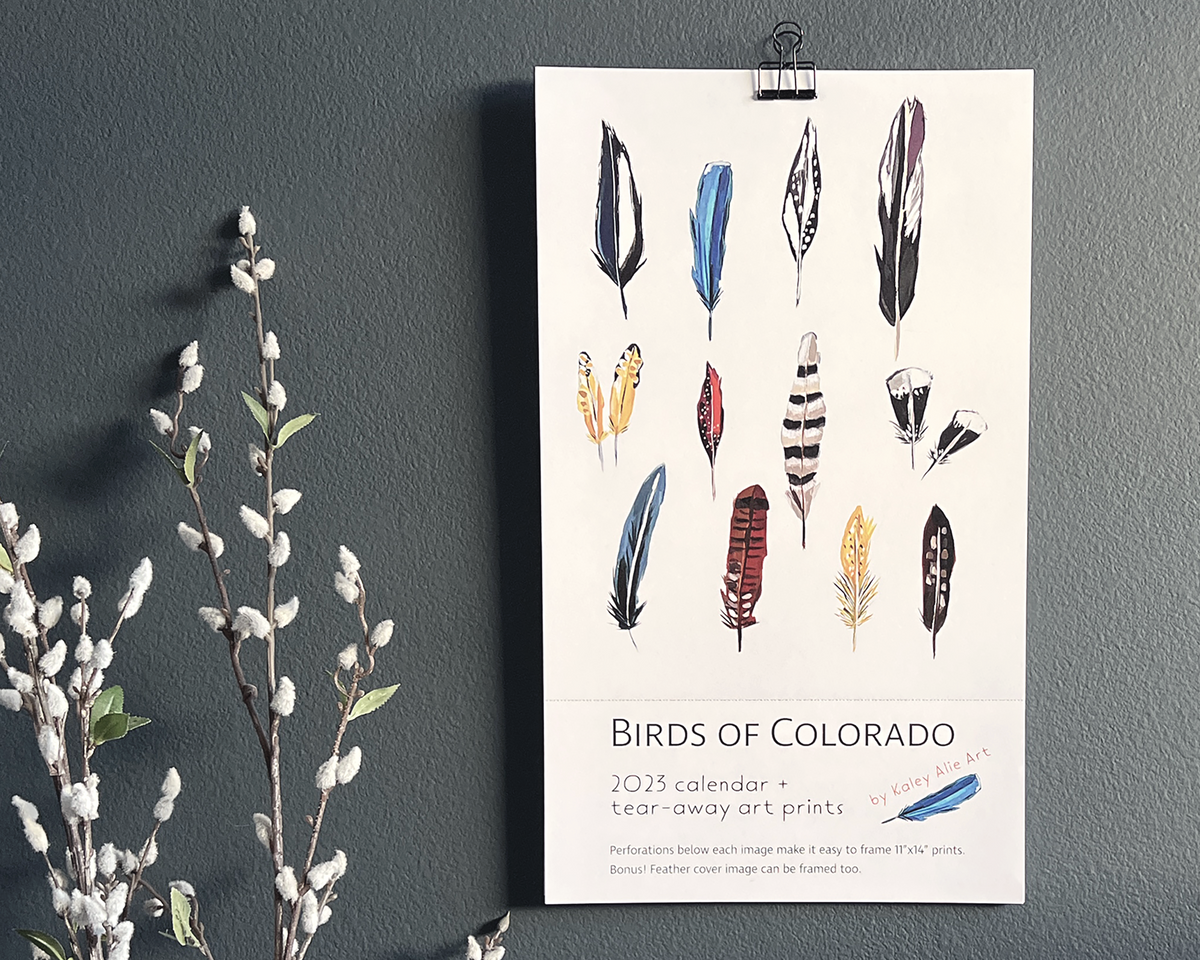 2023  Wall Calendar- Birds of Colorado